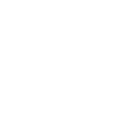 Search Icon